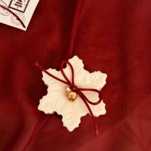 FLOCO DE NEVE - CHAMPAGNE